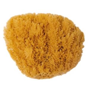 Natural Sponge 15cm | Sufraco House of Fine Brands