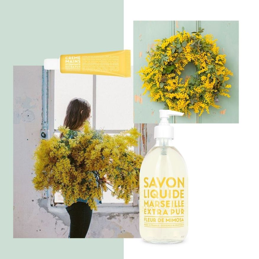 Flytande Tvål 495ml Mimosa Flower | Sufraco House of Fine Brands