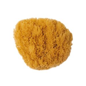 Natural Sponge 10-12cm | Sufraco House of Fine Brands